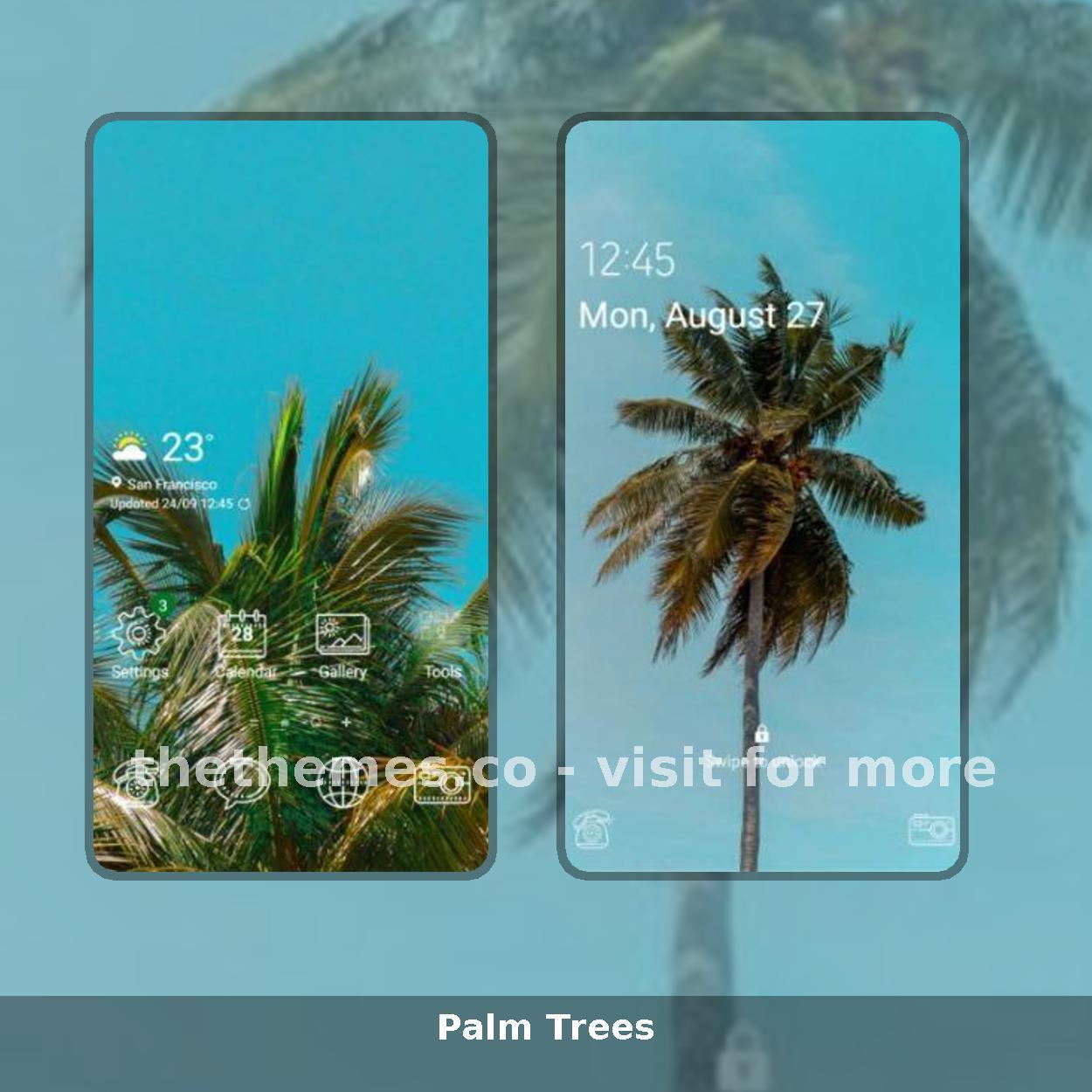 Palm Trees