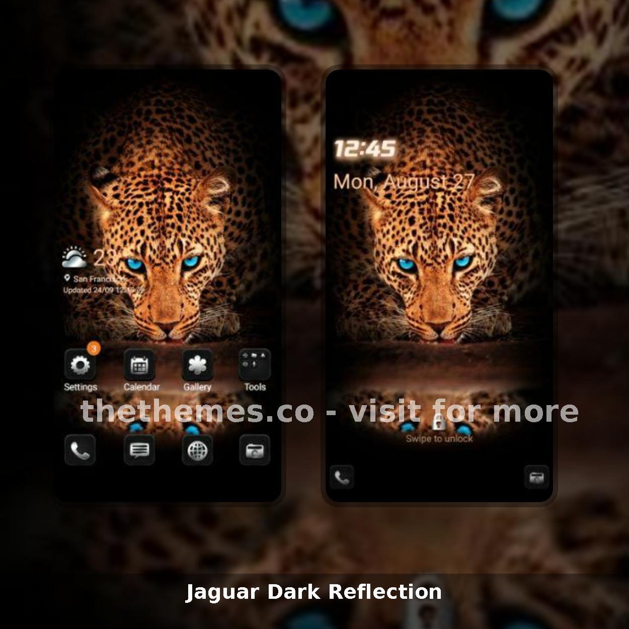 Jaguar Dark Reflection