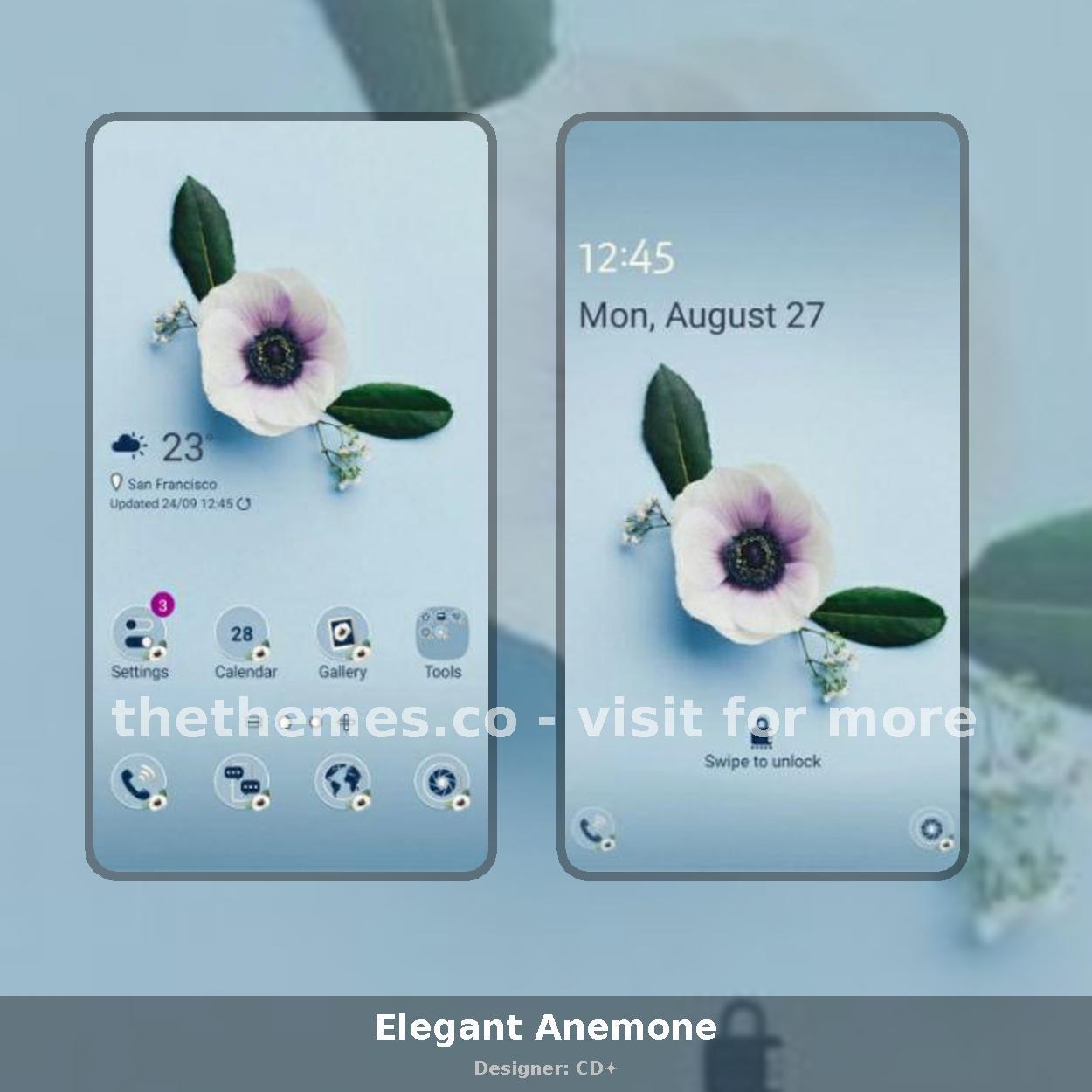 Elegant Anemone