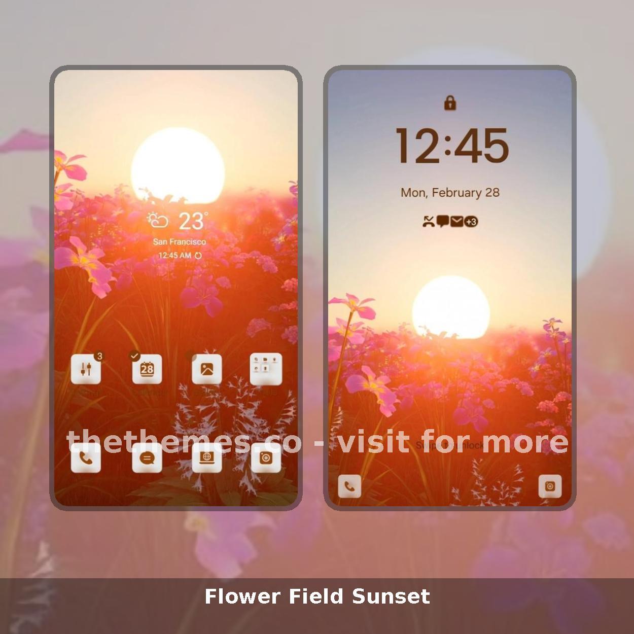 Flower Field Sunset