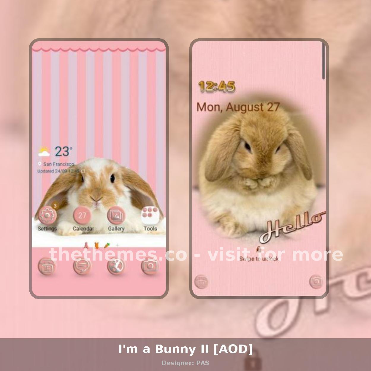 I'm a Bunny II [AOD]