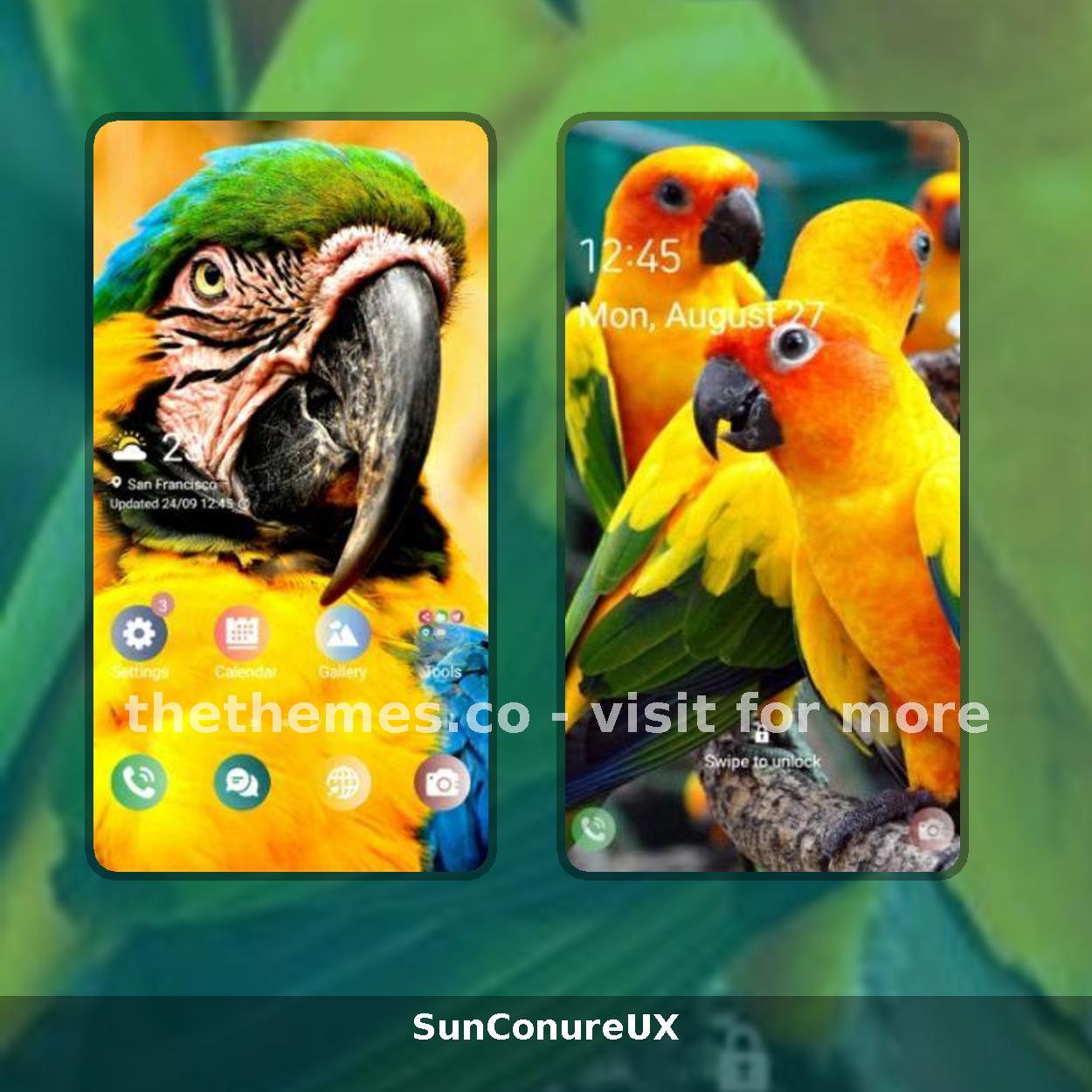 SunConureUX