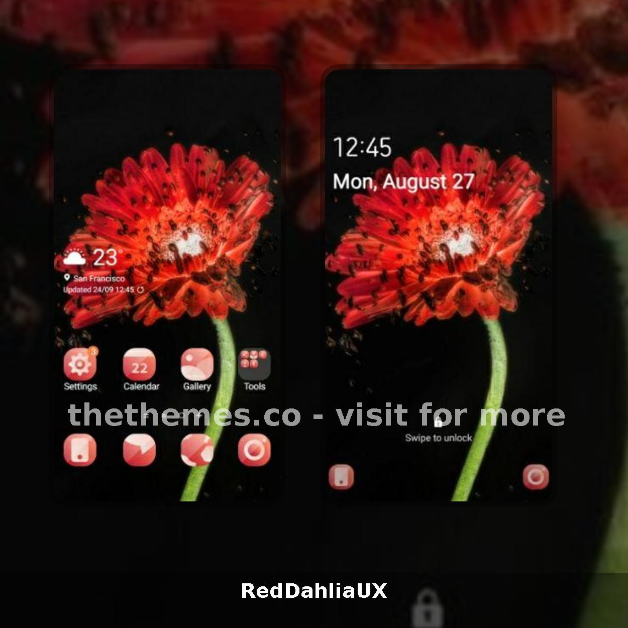 RedDahliaUX
