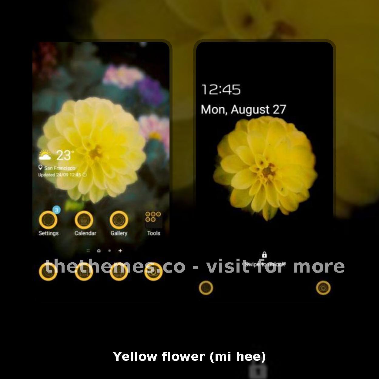 Yellow flower (mi hee)