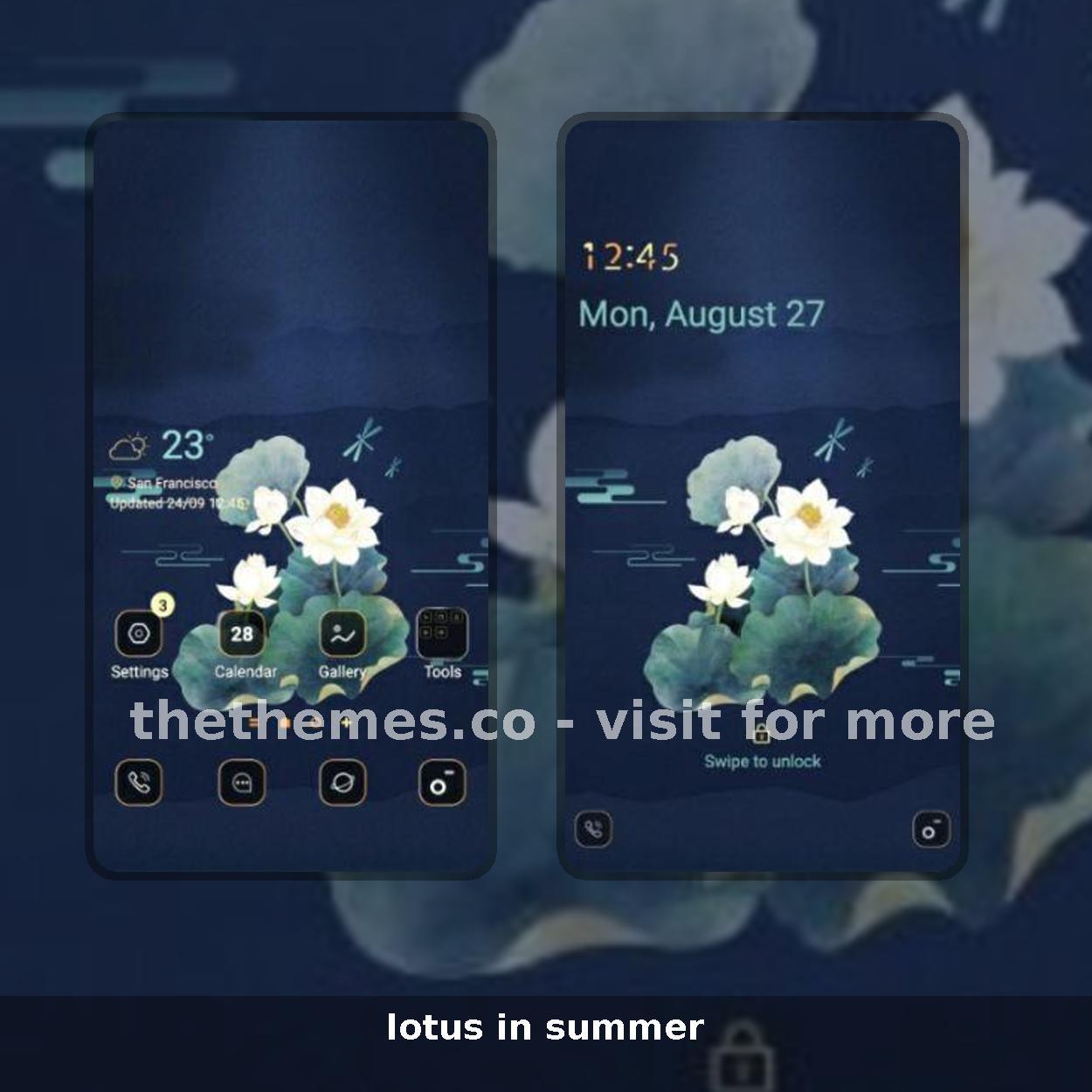 lotus in summer