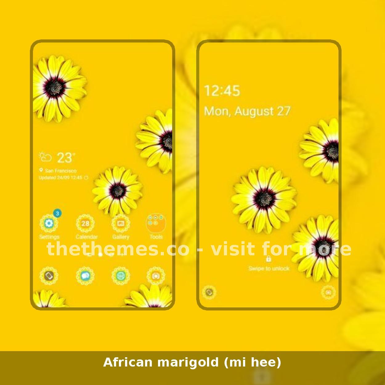 African marigold (mi hee)