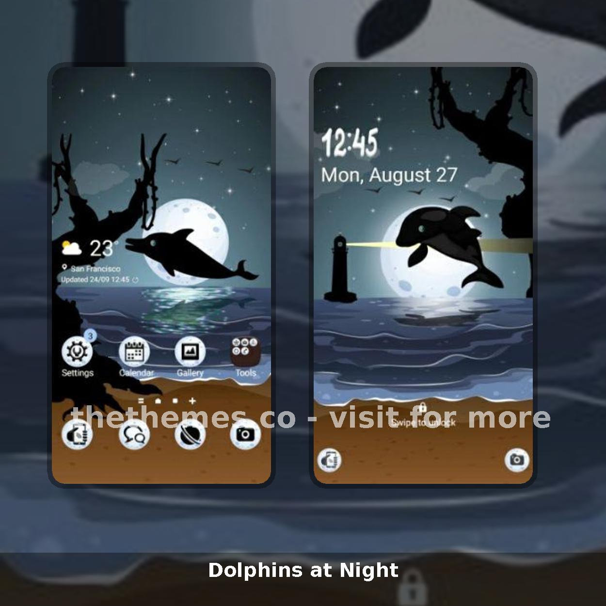 Dolphins at Night