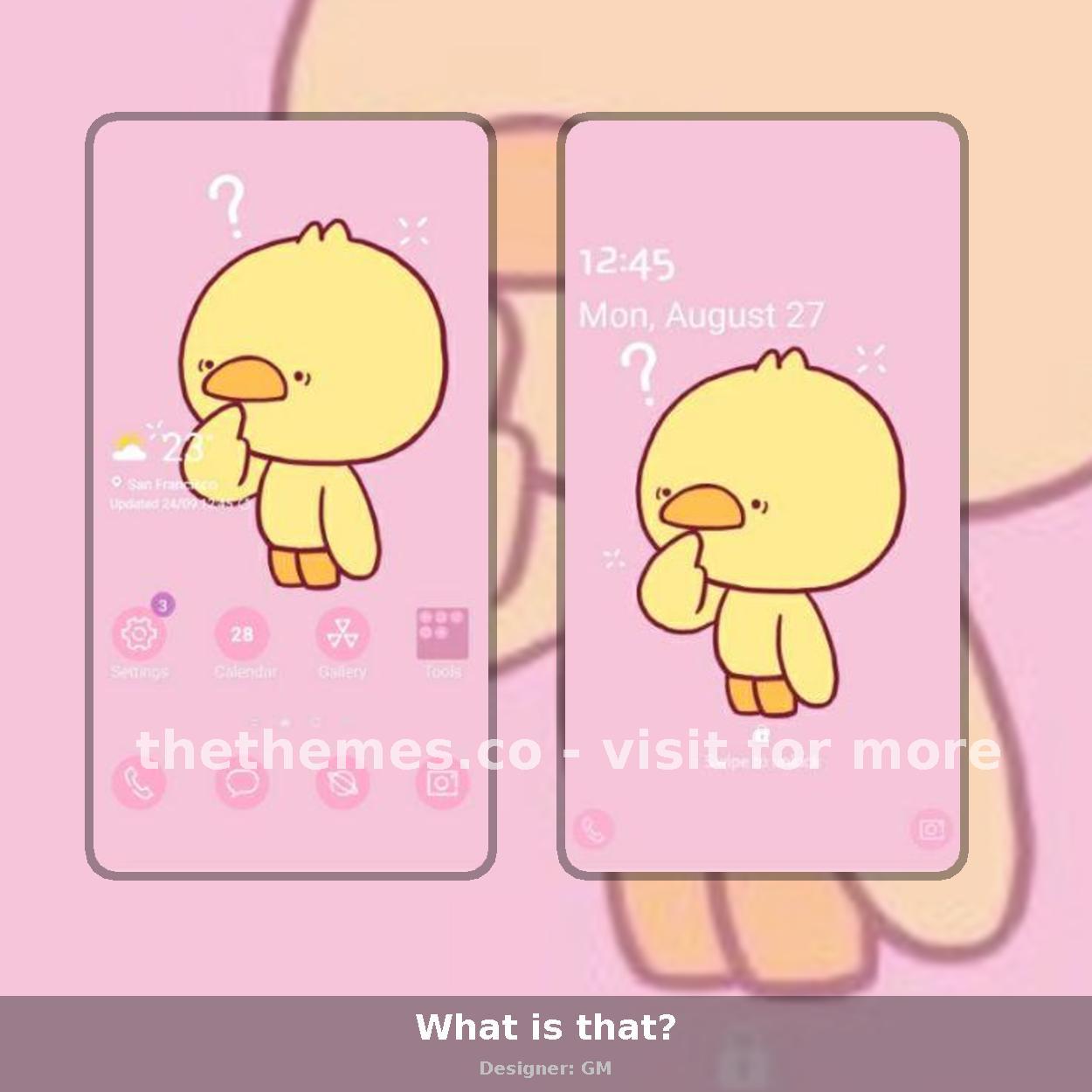 What is that?