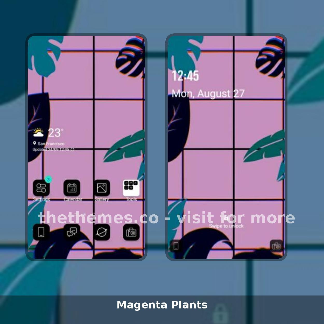 Magenta Plants