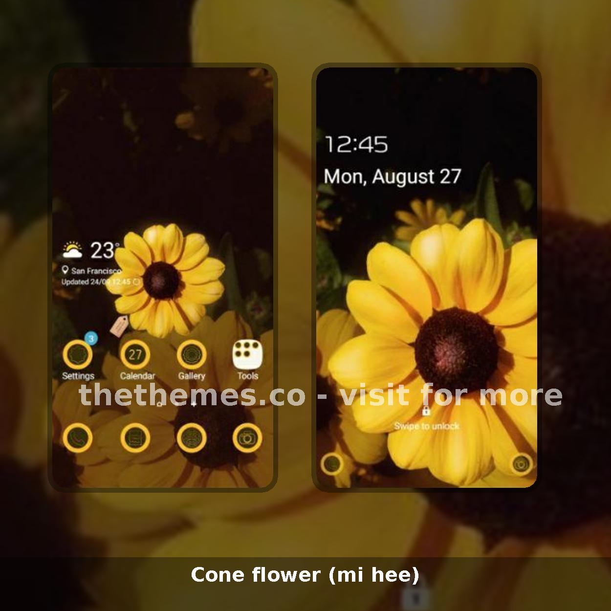 Cone flower (mi hee)