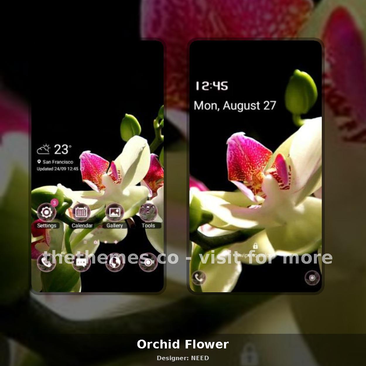Orchid Flower