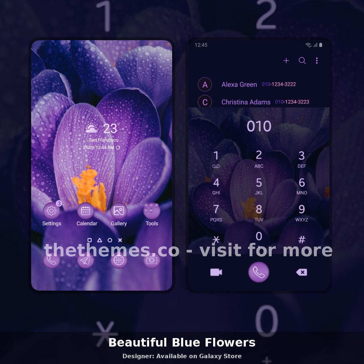 Beautiful Blue Flowers