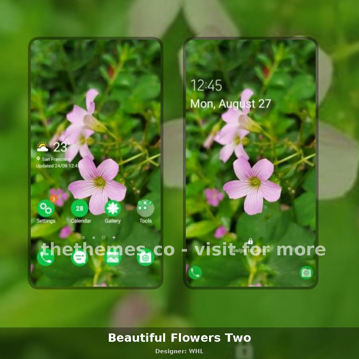 Beautiful Flowers Two