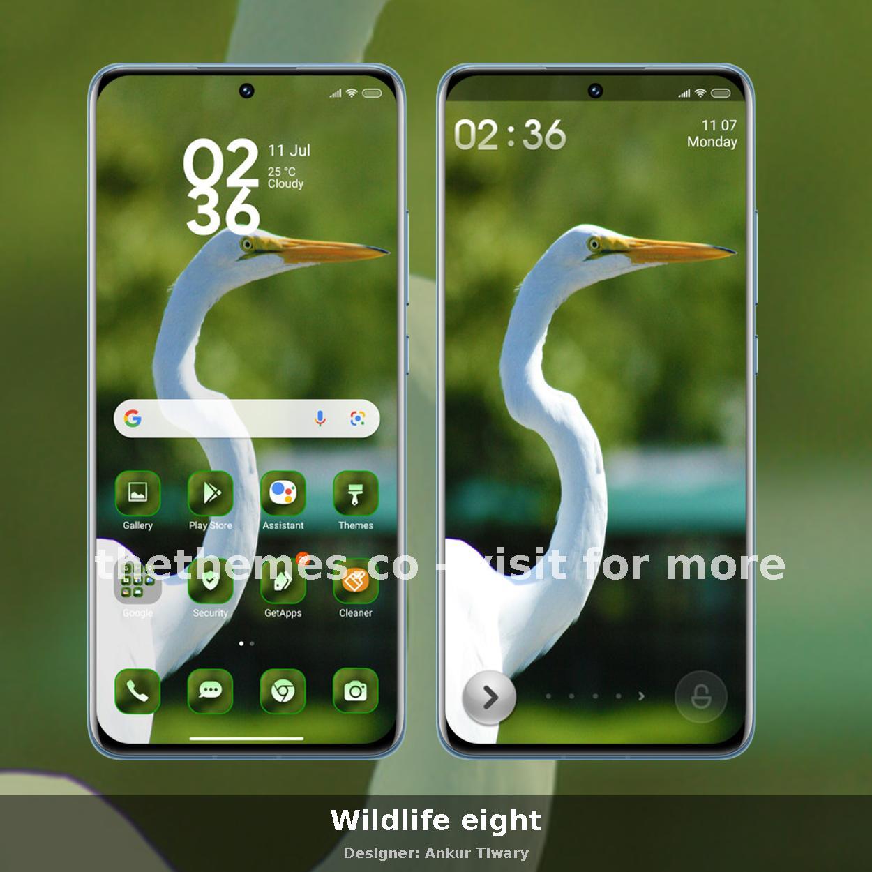 Wildlife eight