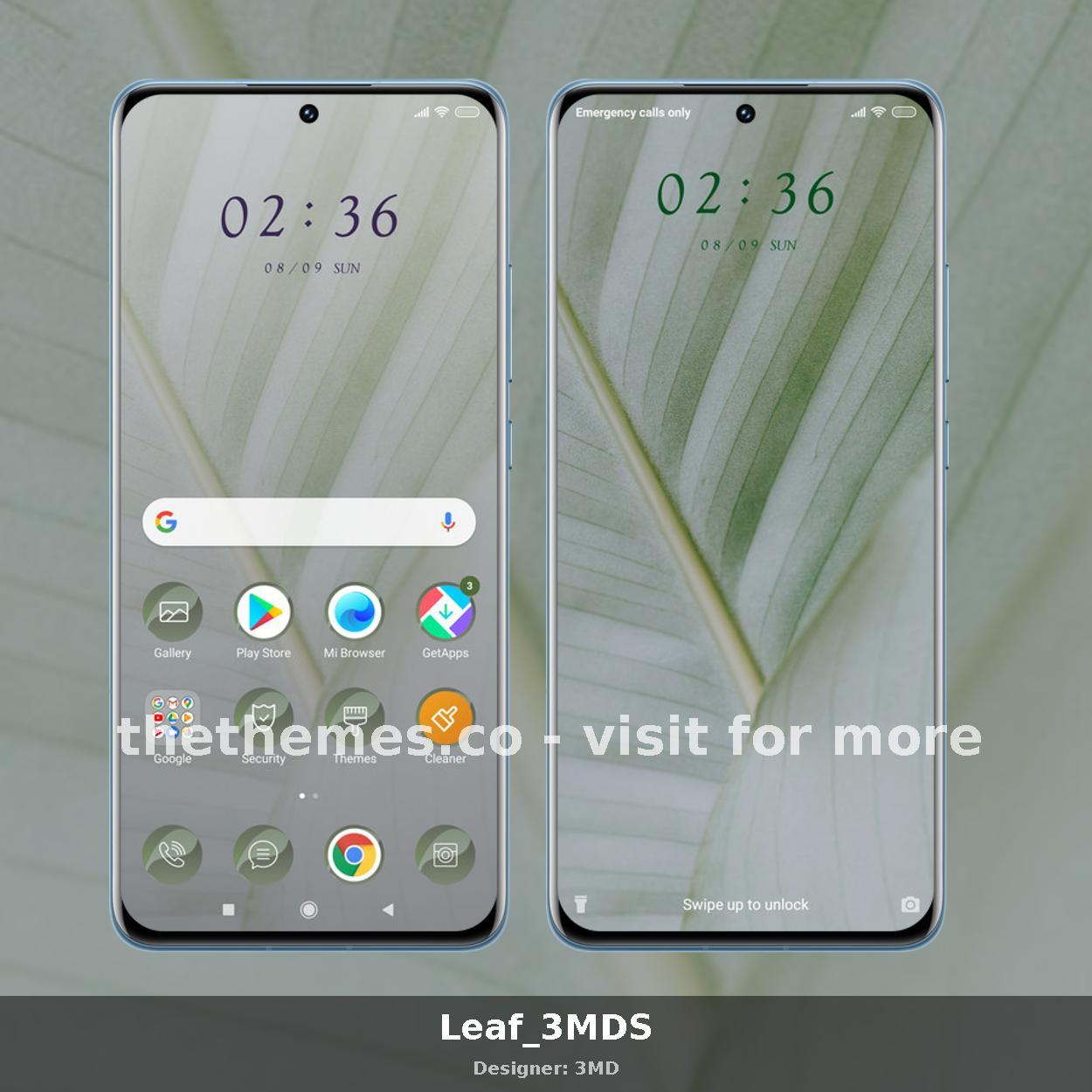 Leaf_3MDS