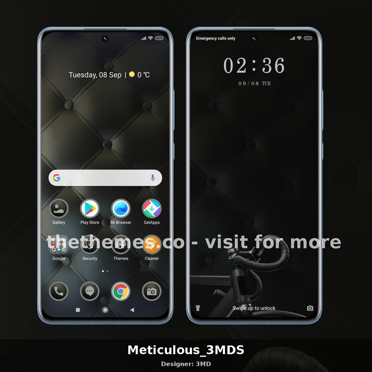 Meticulous_3MDS