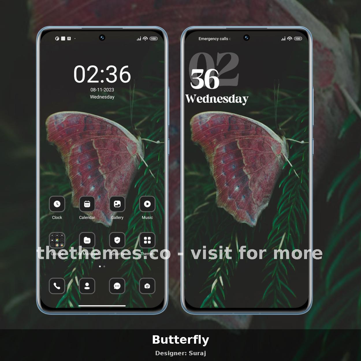Butterfly