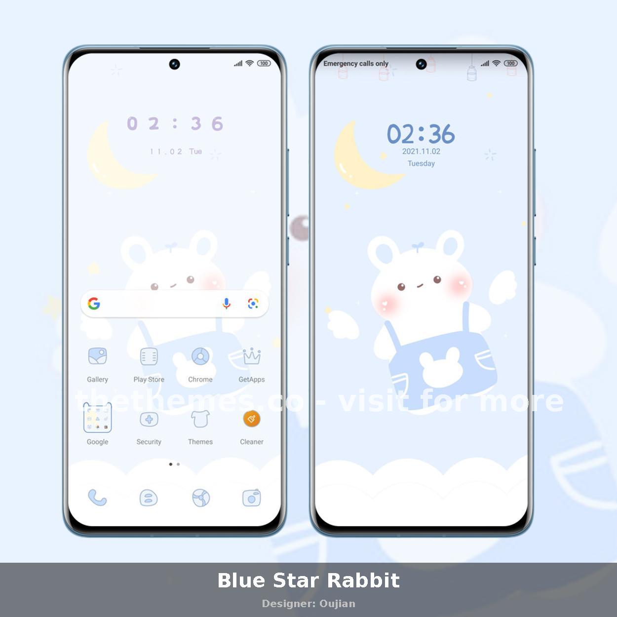 Blue Star Rabbit