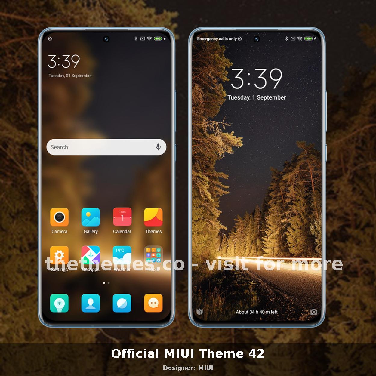 Official MIUI Theme 42