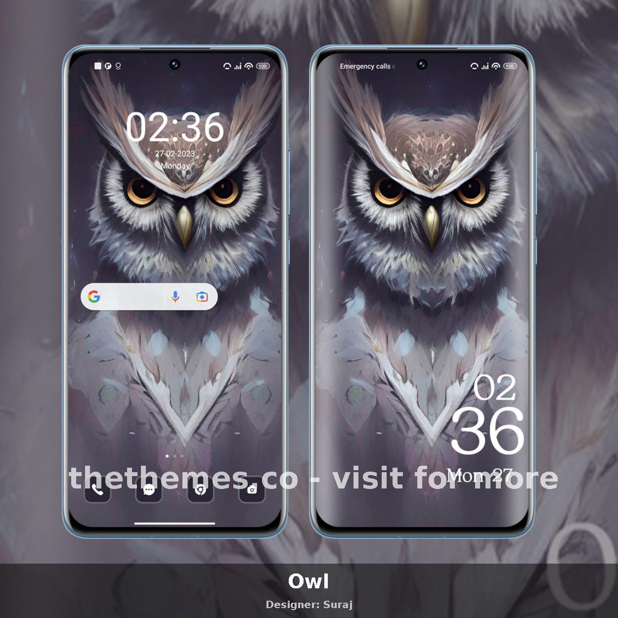 Owl