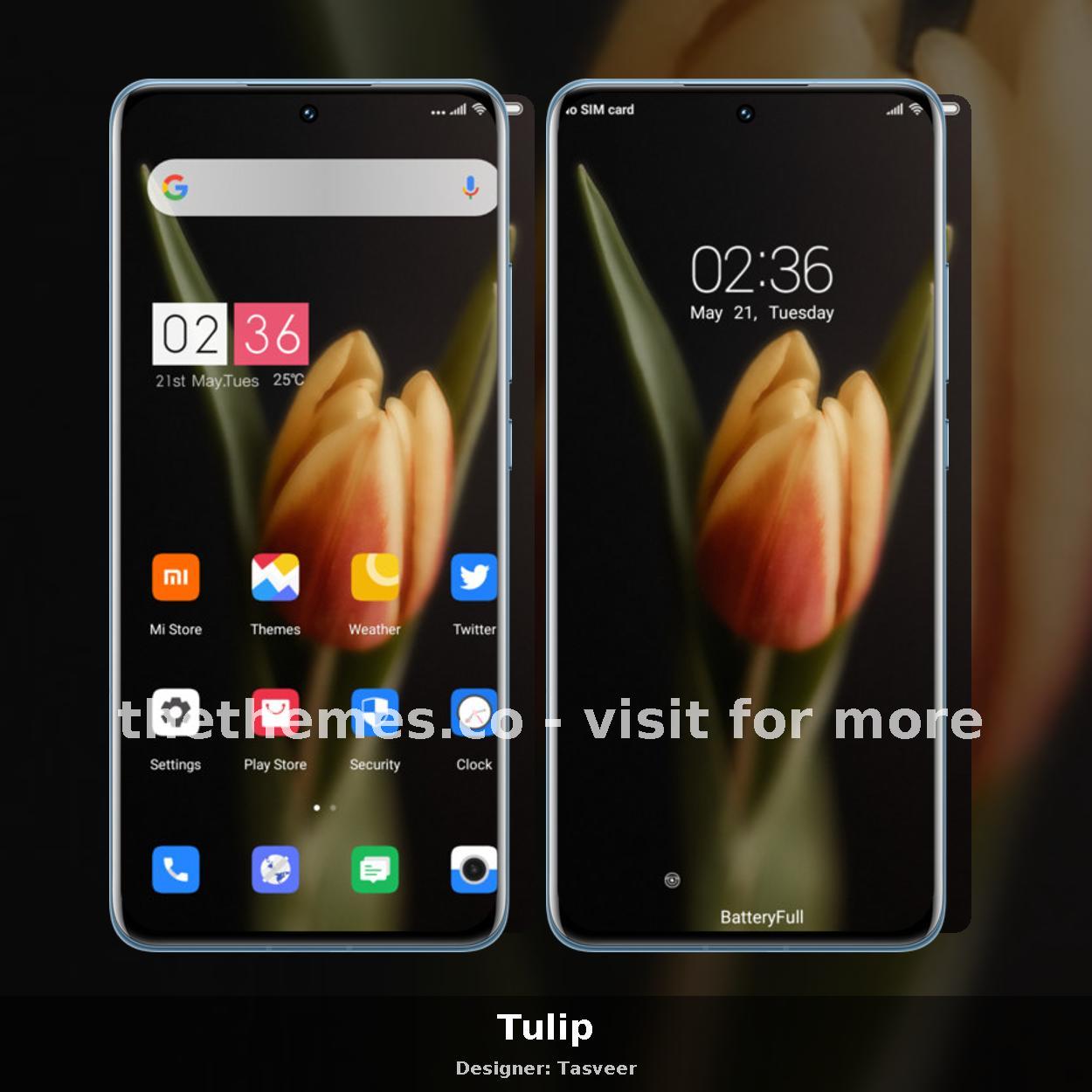 Tulip