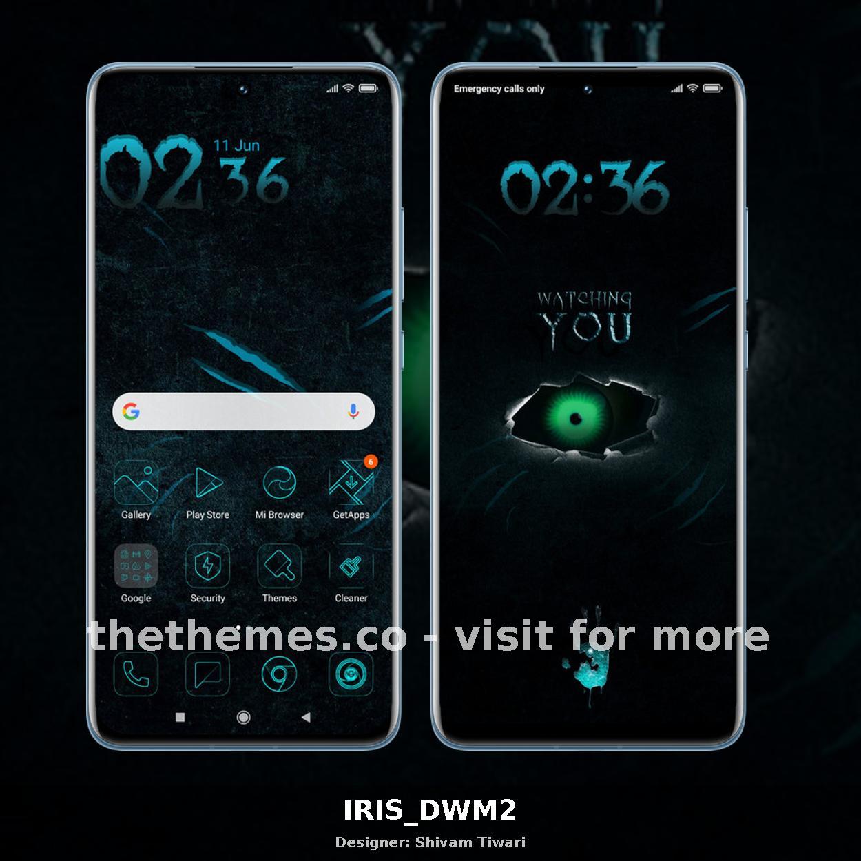 IRIS_DWM2