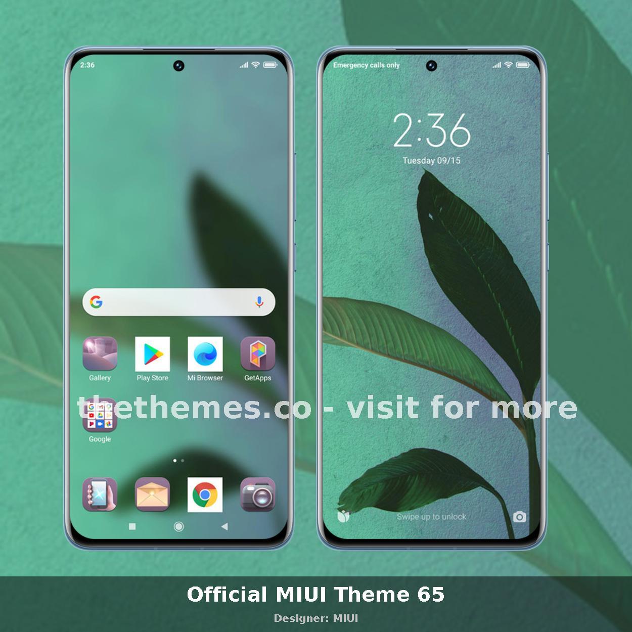 Official MIUI Theme 65