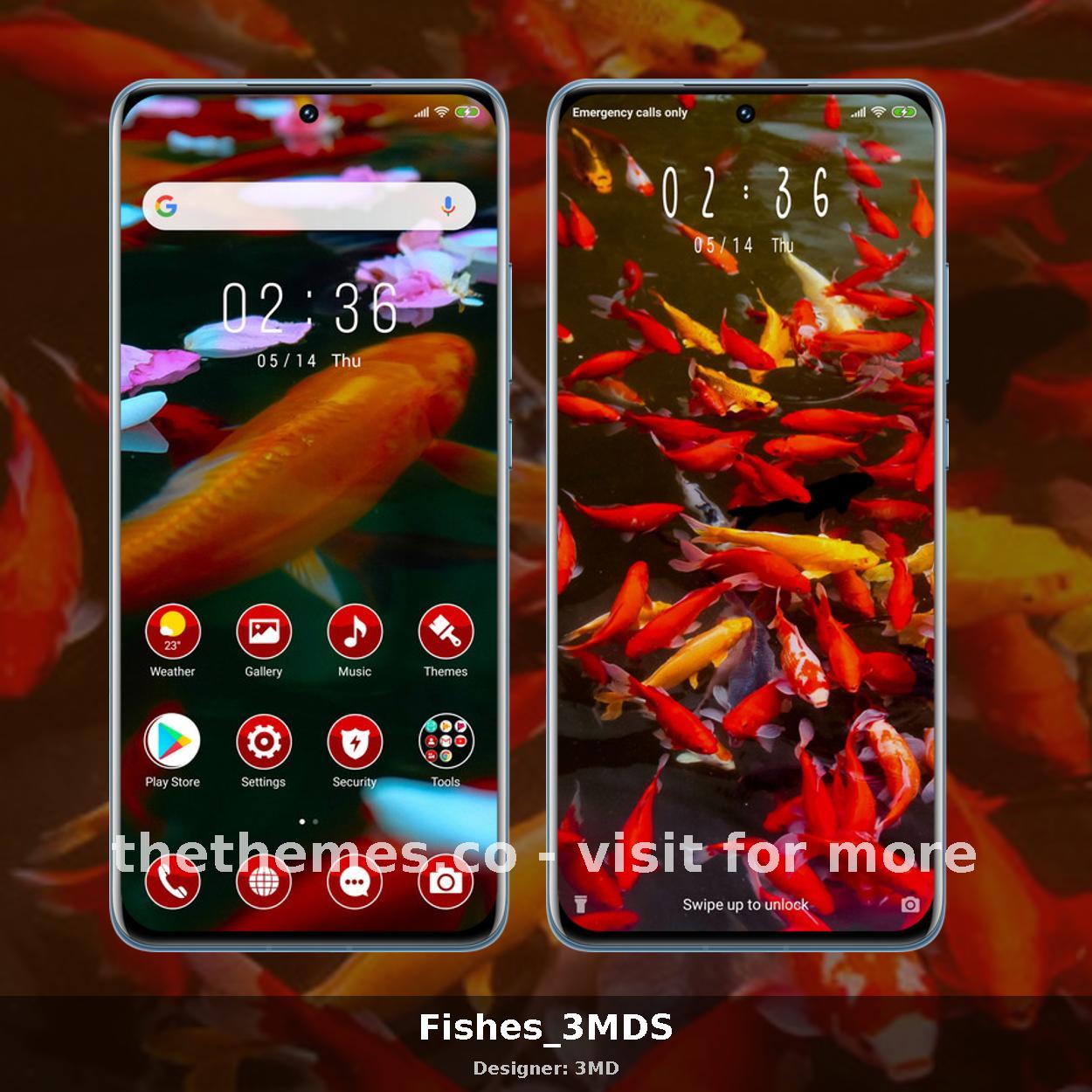 Fishes_3MDS