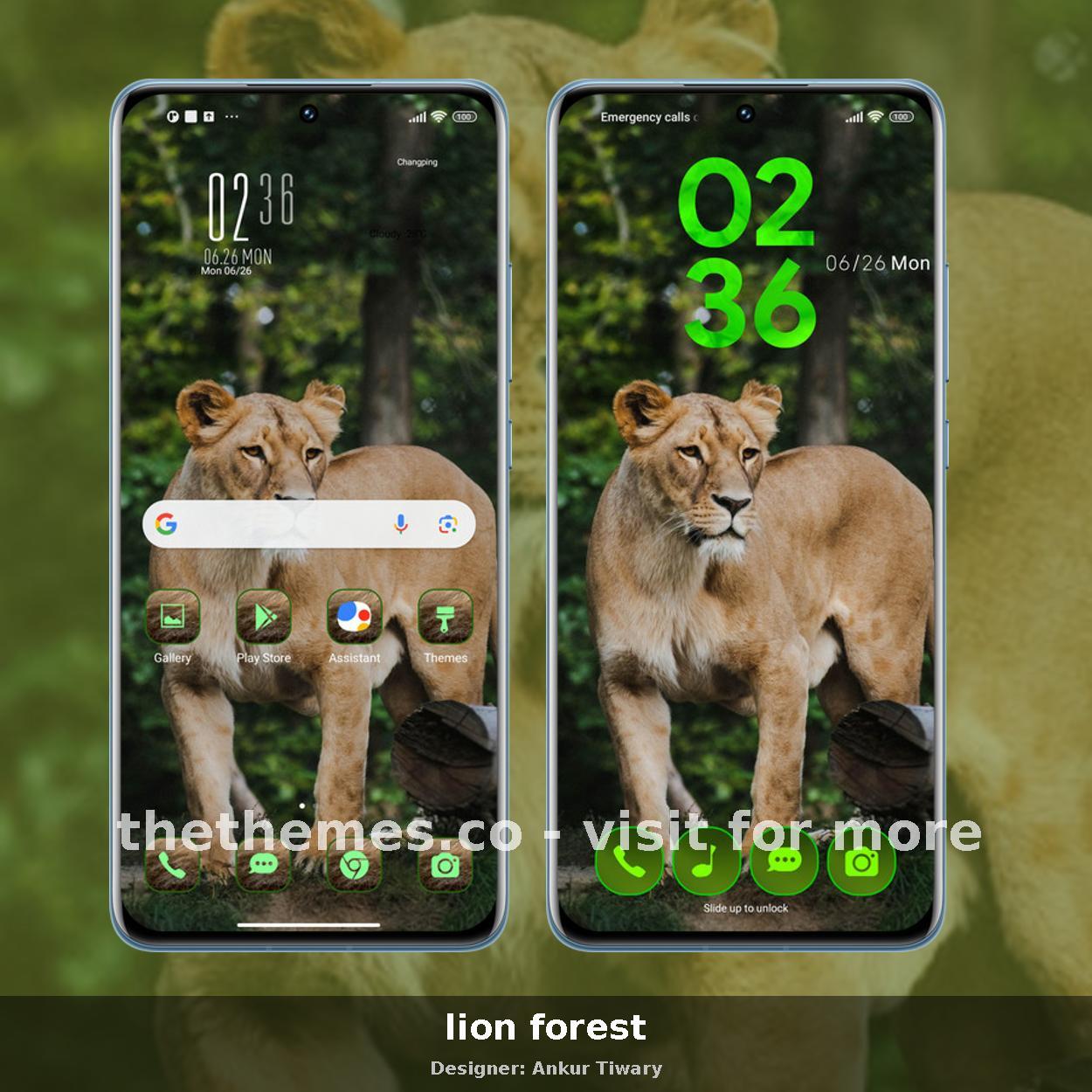 lion forest