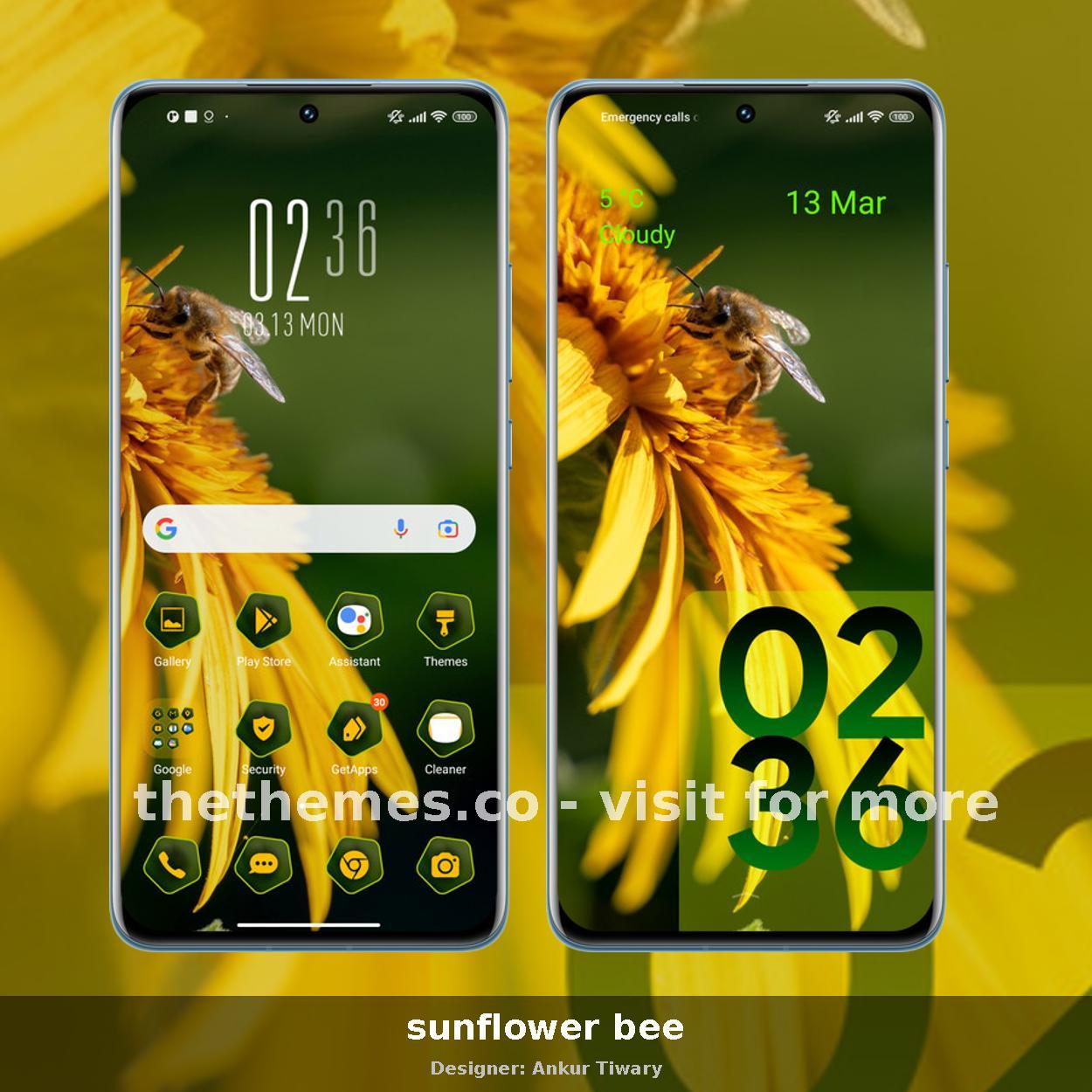 sunflower bee