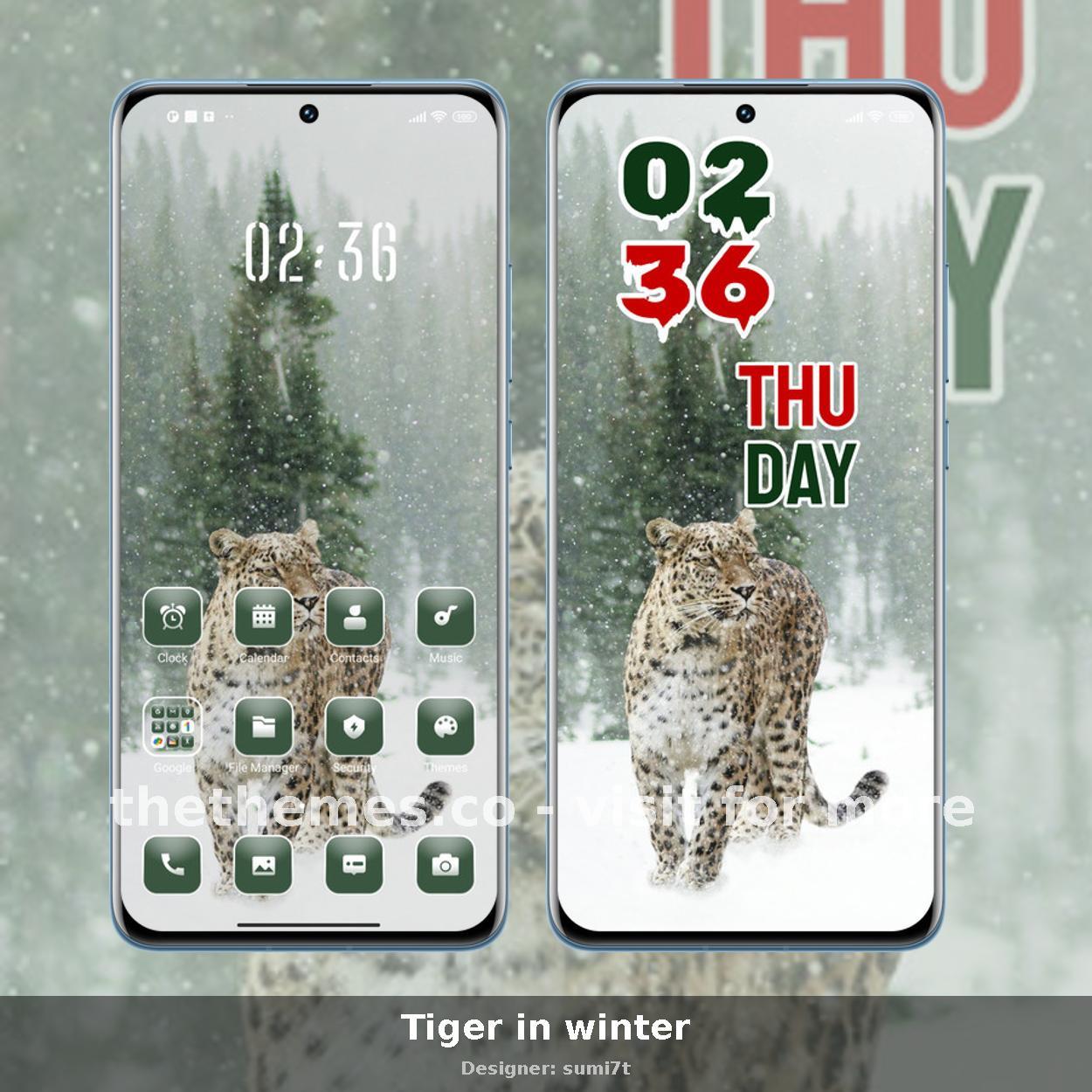 Tiger in winter