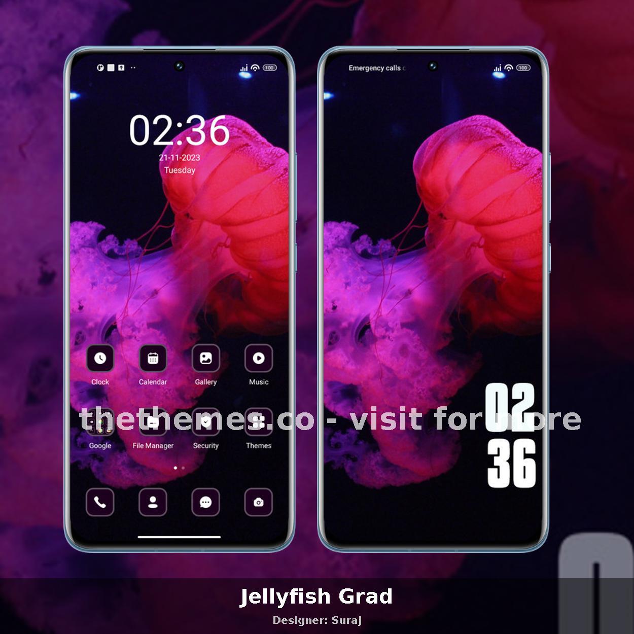 Jellyfish Grad
