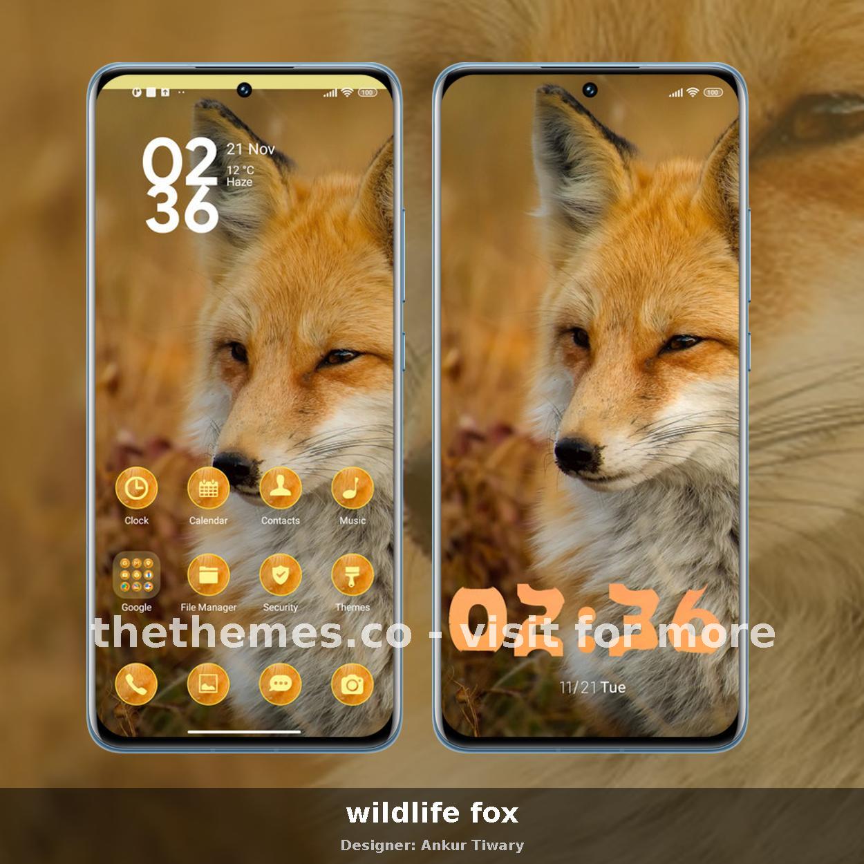 wildlife fox