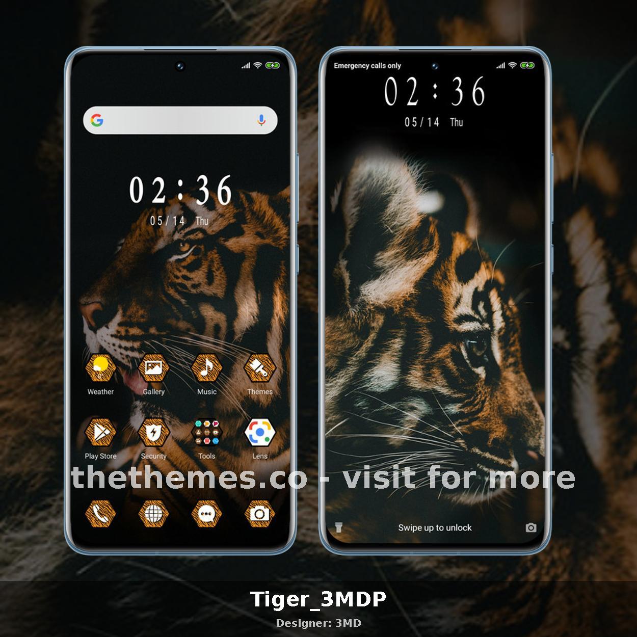Tiger_3MDP