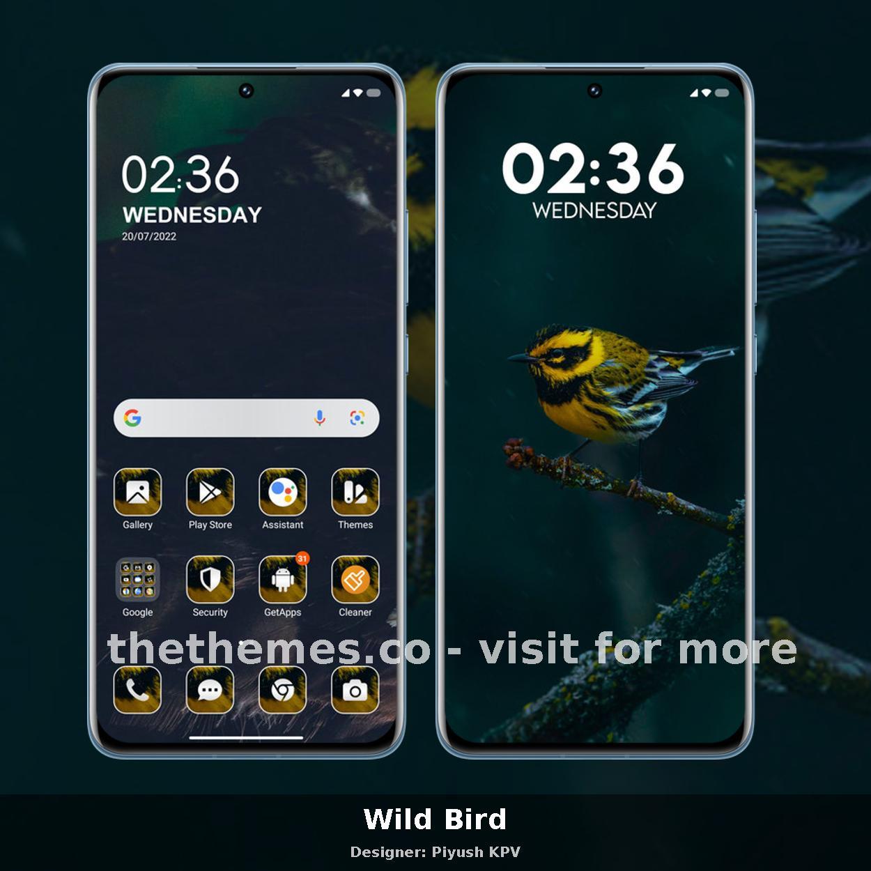 Wild Bird