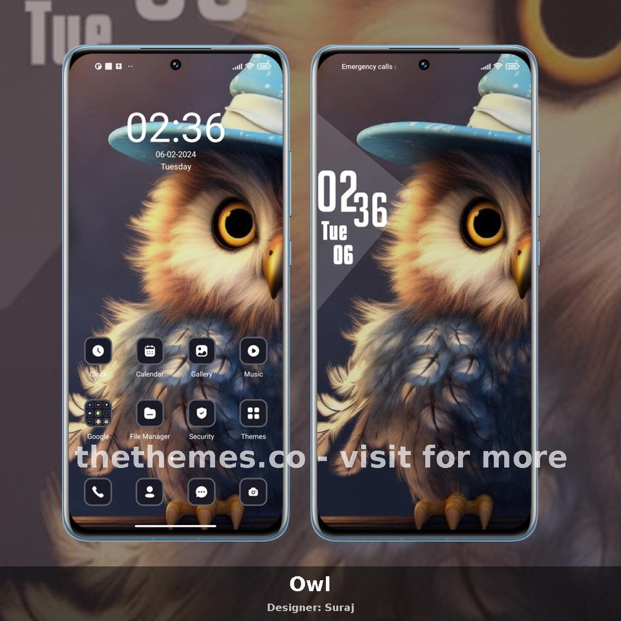 Owl