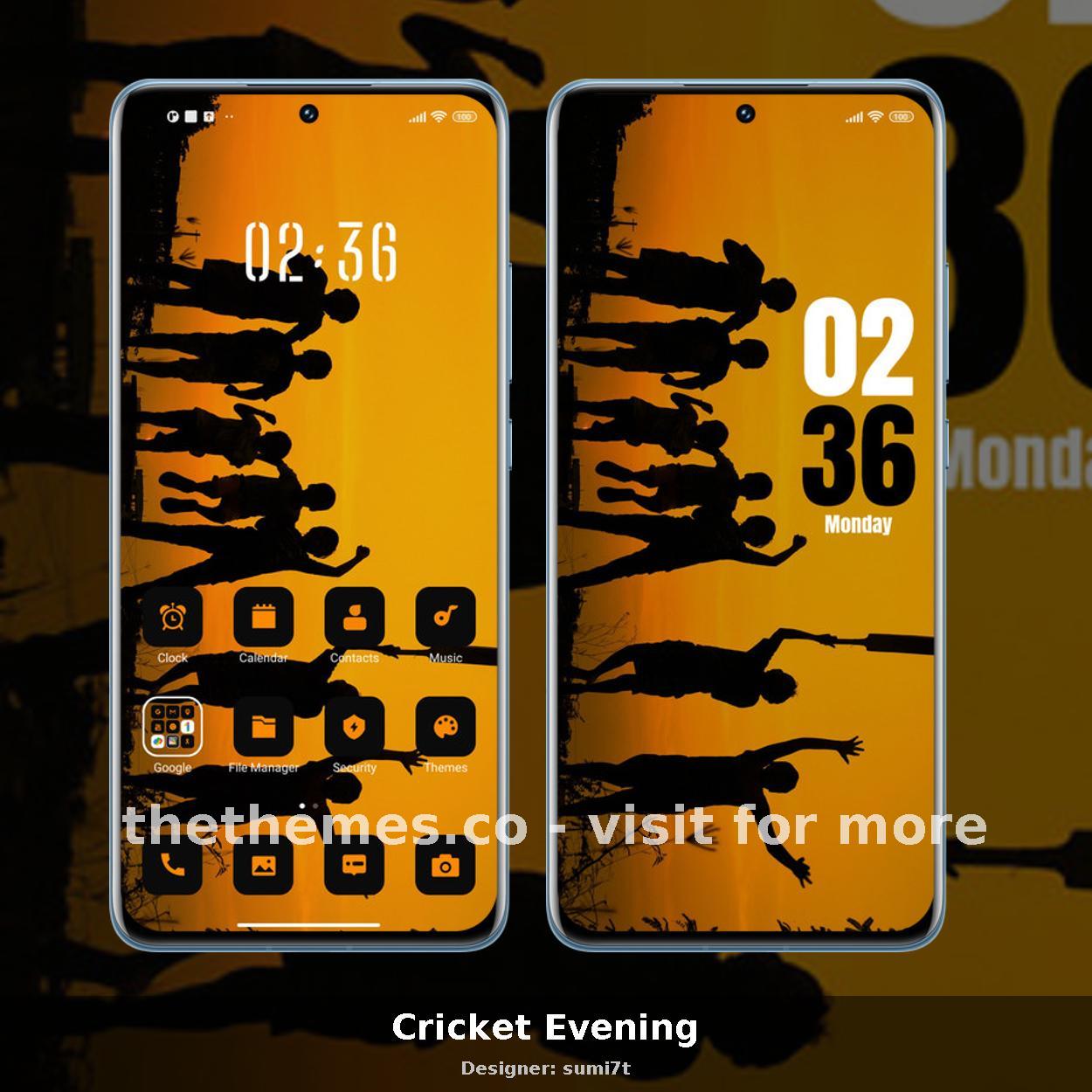 Cricket Evening