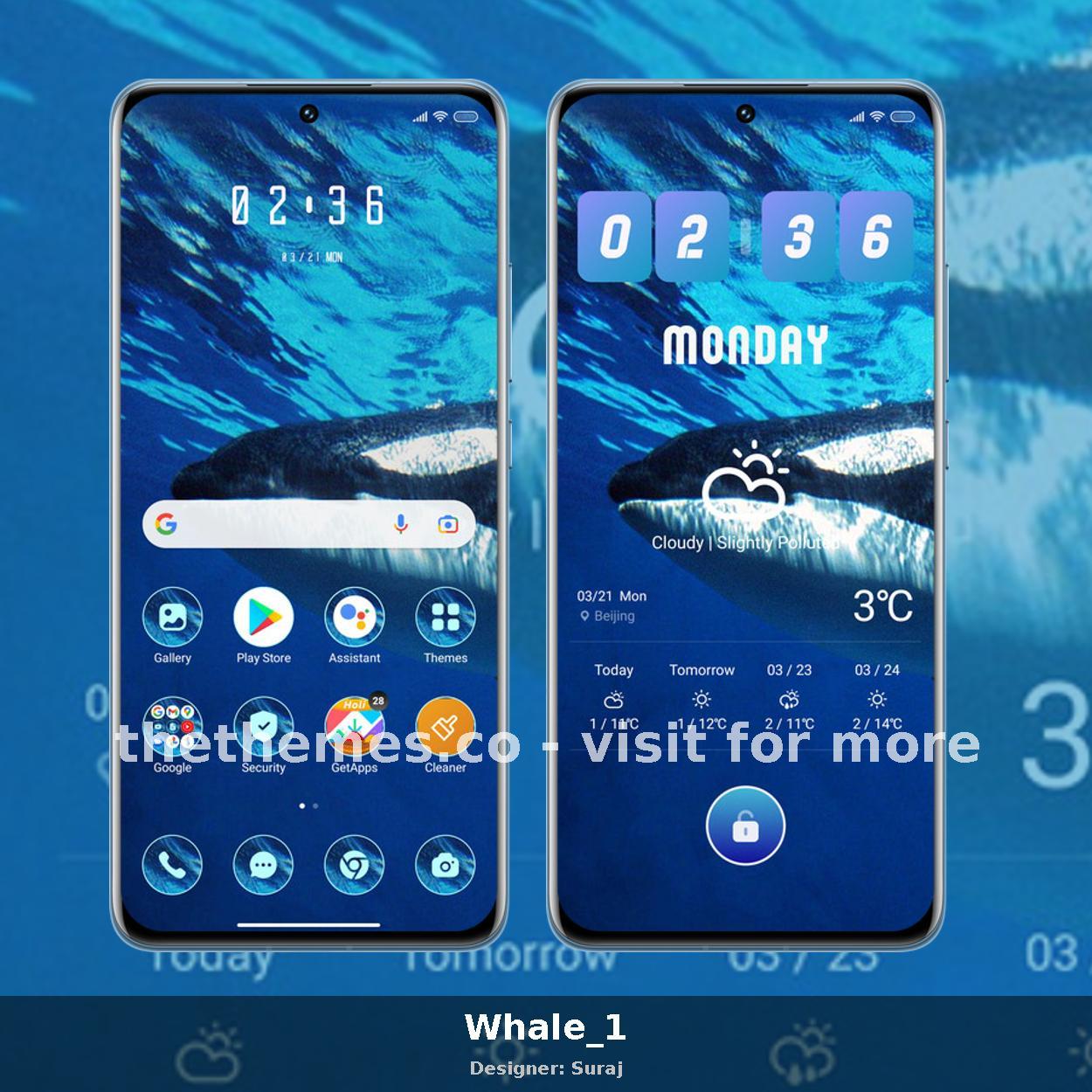 Whale_1