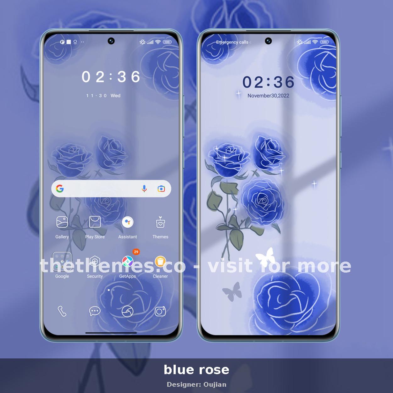 blue rose