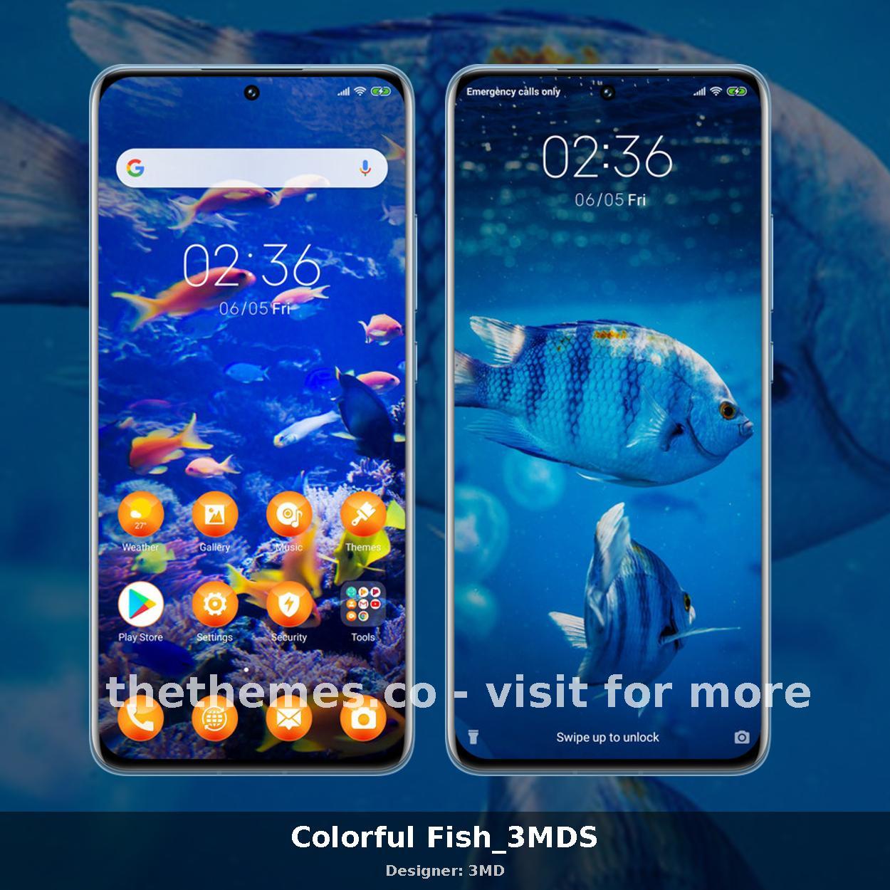 Colorful Fish_3MDS