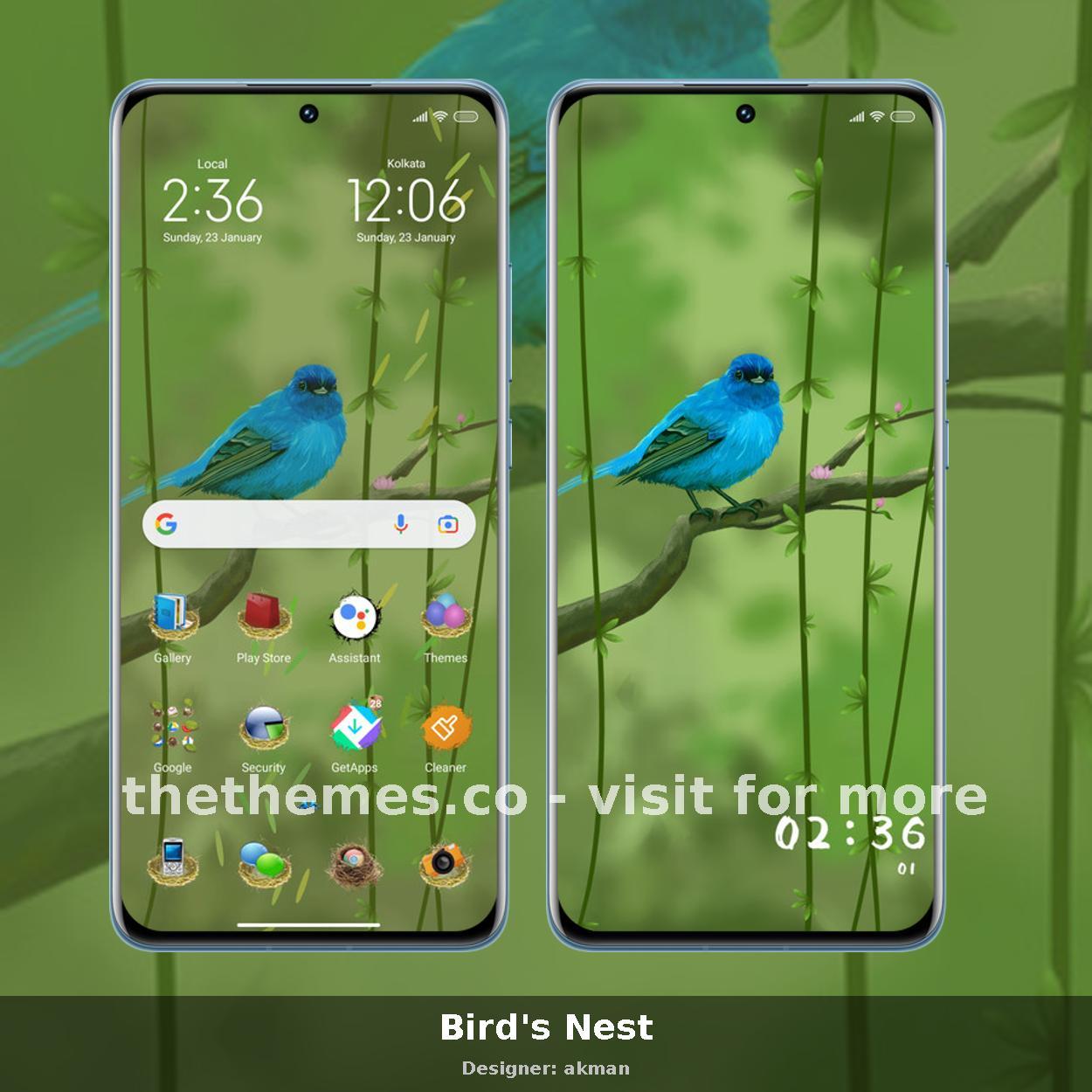 Bird's Nest