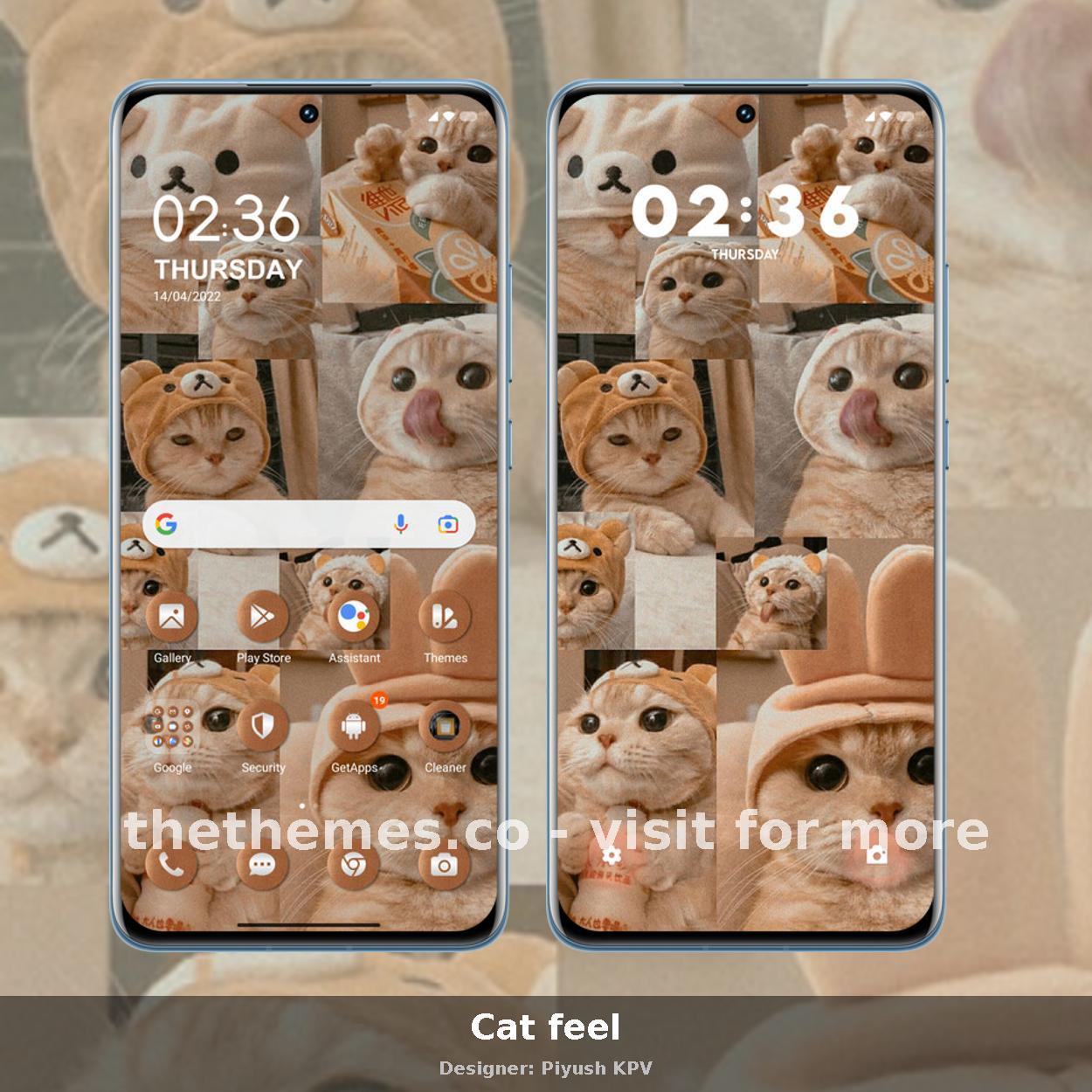 Cat feel