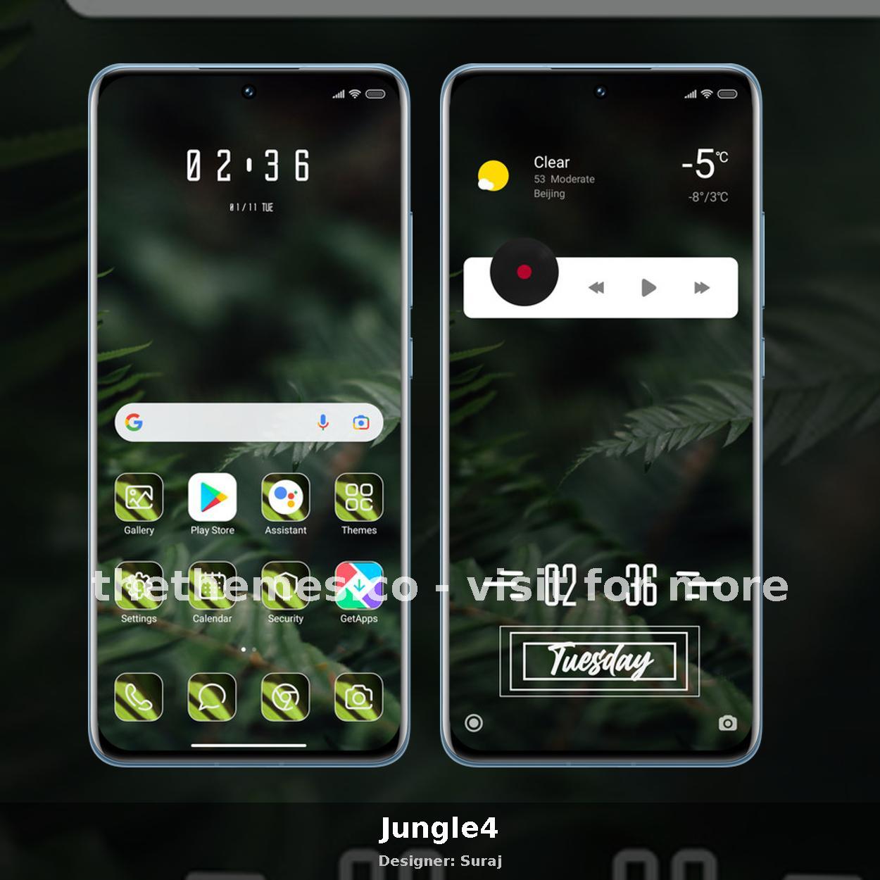 Jungle4