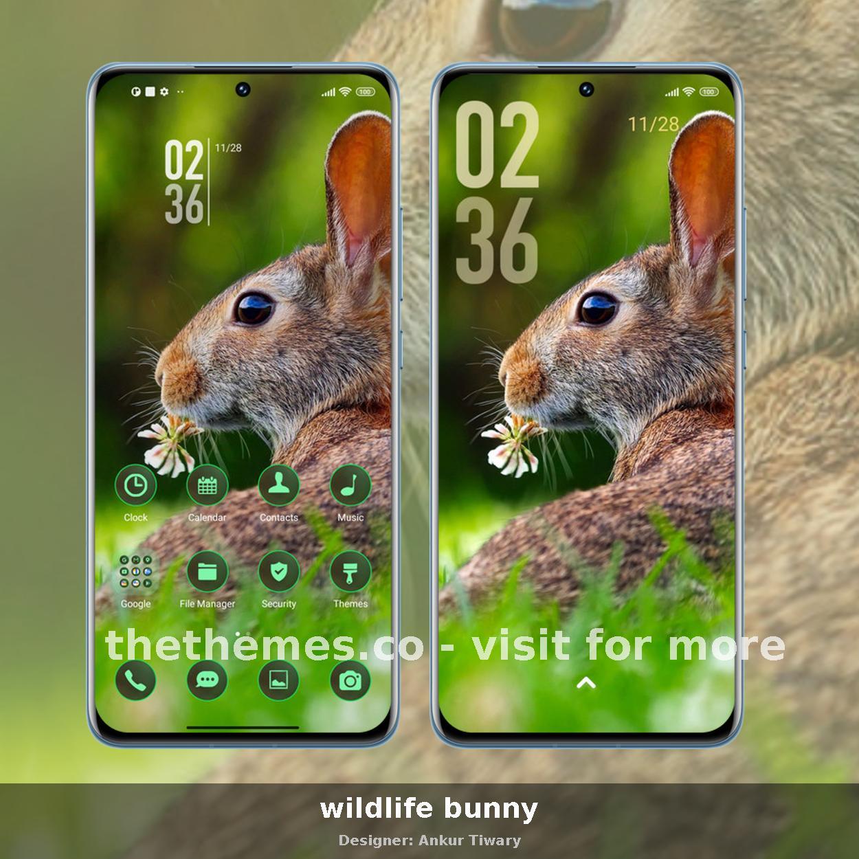wildlife bunny