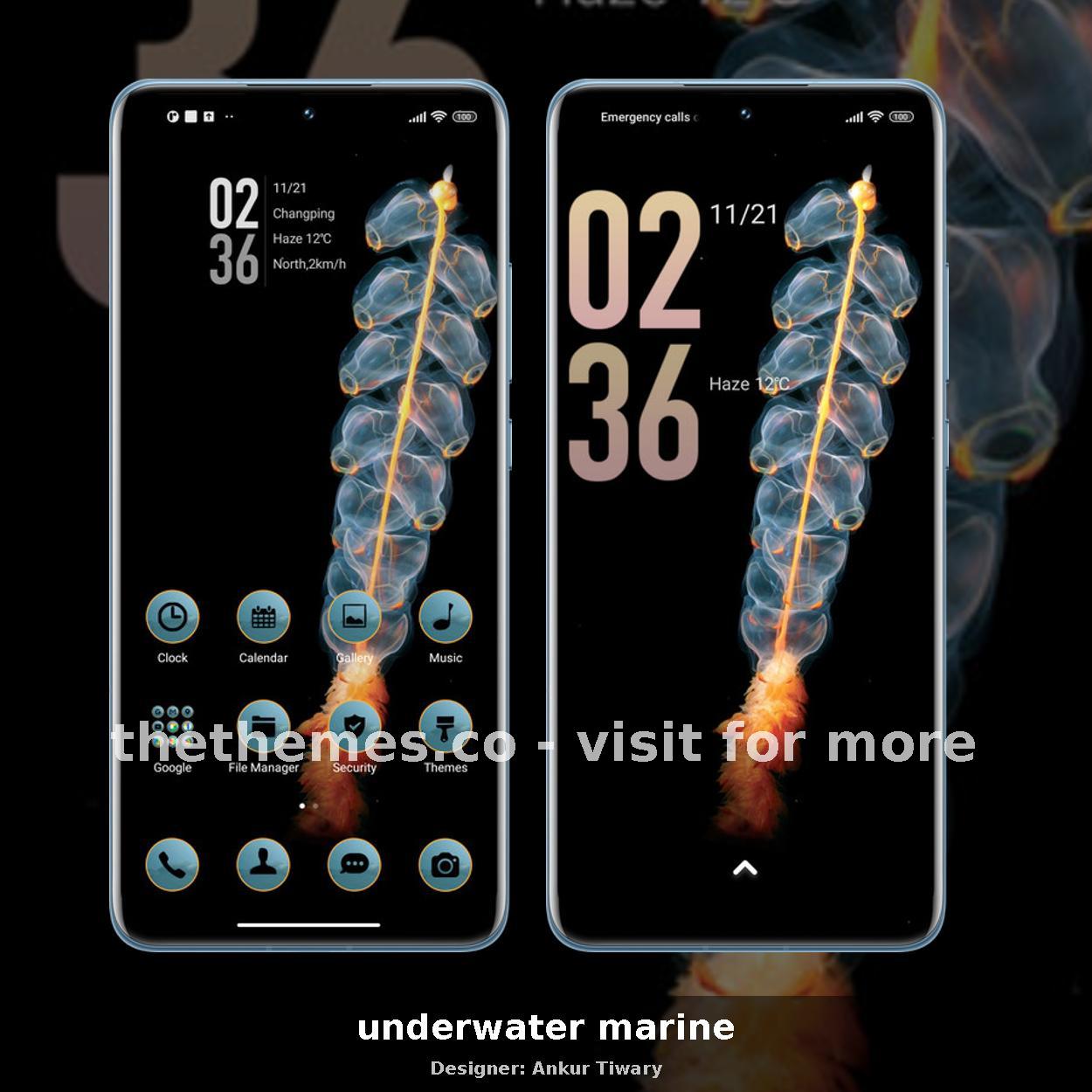 underwater marine