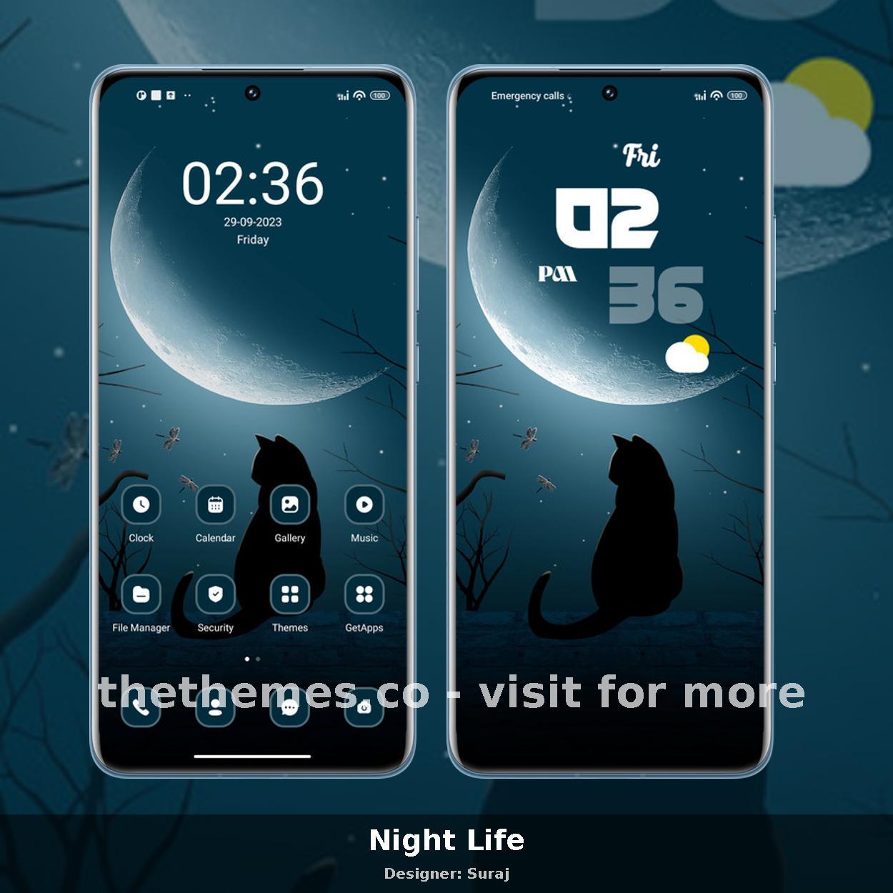 Night Life