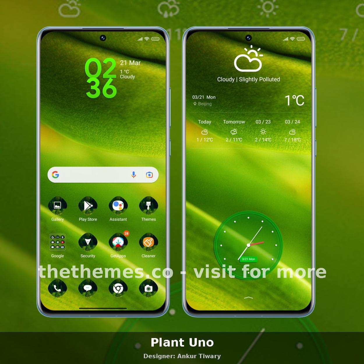 Plant Uno