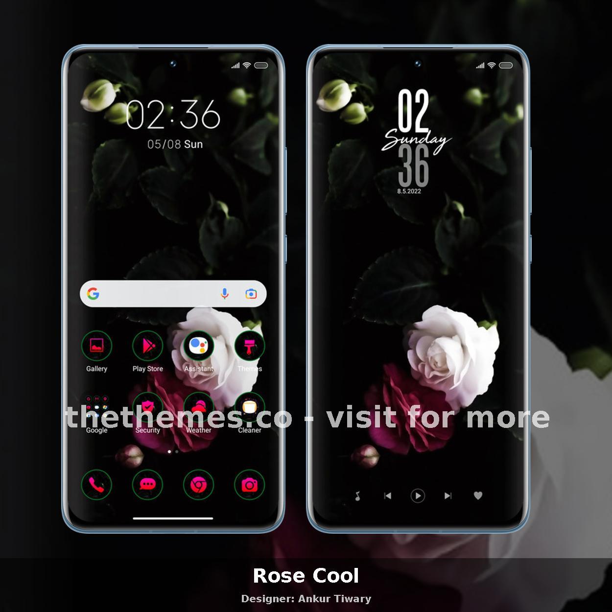 Rose Cool