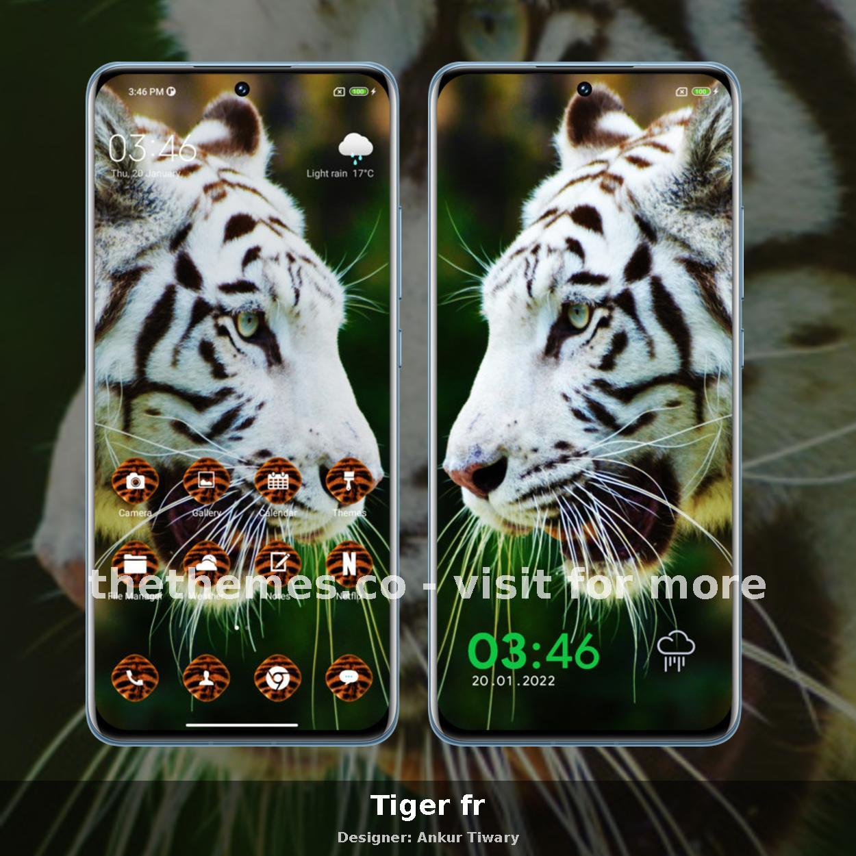 Tiger fr