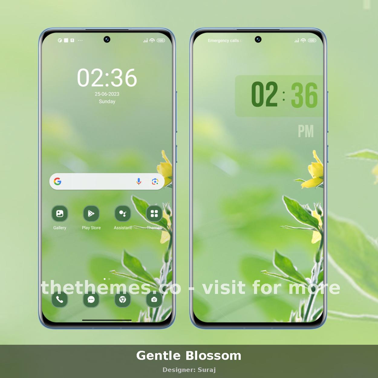 Gentle Blossom